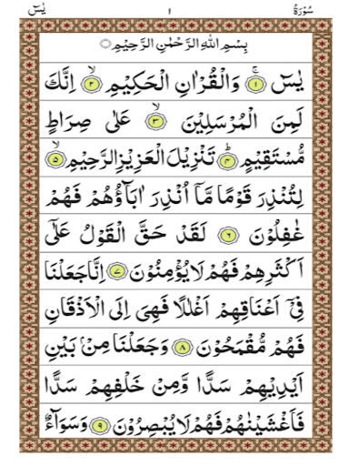 Surah Yaseen پی سی