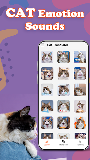 Cat Translator Prank Simulator电脑版