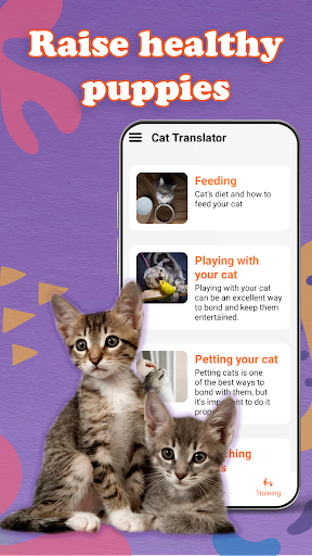 แปลภาษาแมว & เกมจำลองแมว PC