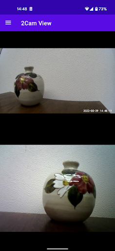 Live camera multi viewer