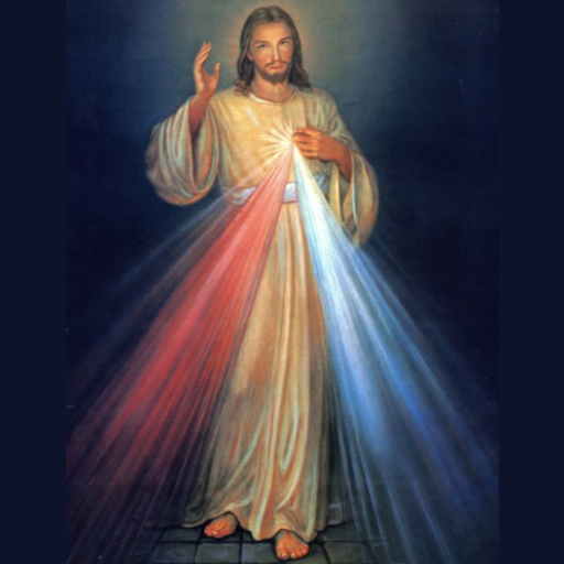 Coronilla Divina Misericordia