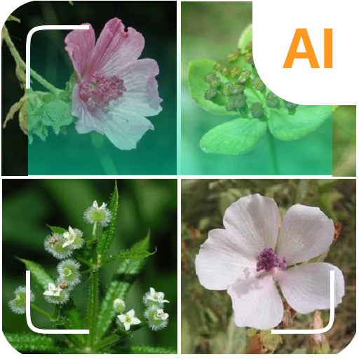গাছের পরিচয়কর পিসি