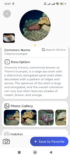 identyfikator ślimaka PC