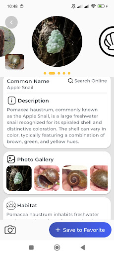 identyfikator ślimaka PC