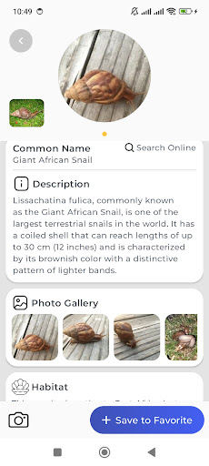 identyfikator ślimaka PC