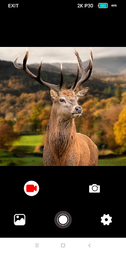 WILDLIFE CAM PC