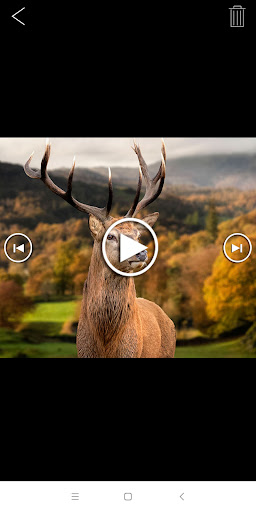 WILDLIFE CAM PC