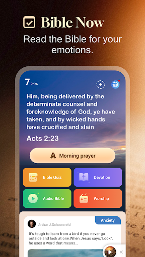 Holy Bible Now:Verse+Audio PC