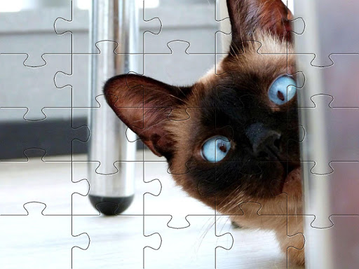Funny cats jigsaw puzzles پی سی