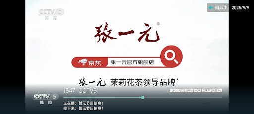 极致 (Jizhi IPTV Player)电脑版