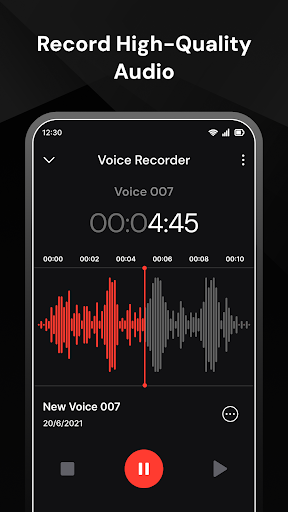 Voice Recorder PC
