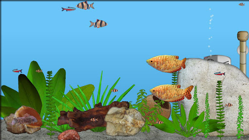 Aquarium Fish PC