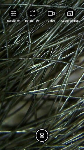 Tricho-derm profiler