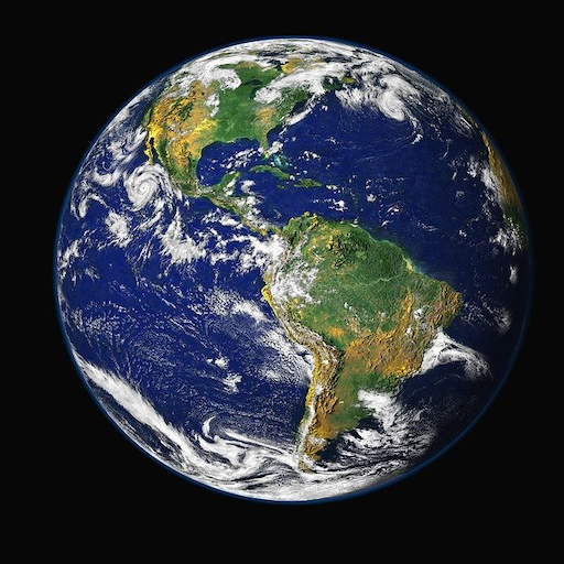 The World