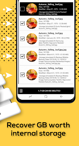 Duplicates Cleaner PC