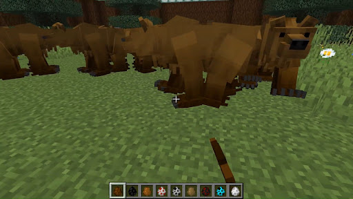 Minecraft အတွက် Animals Mods