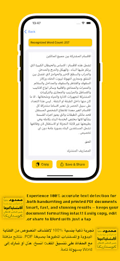 Arabic OCR PC