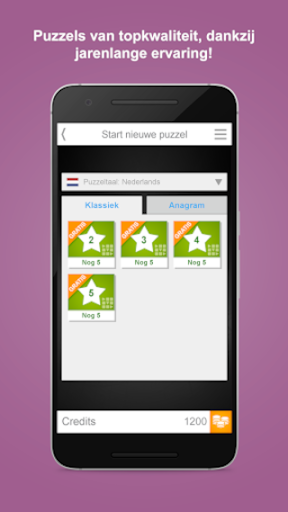 Zweedse puzzel Denksport PC