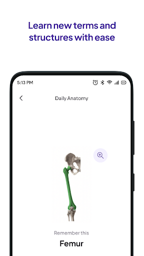 Daily Anatomy Flashcards PC