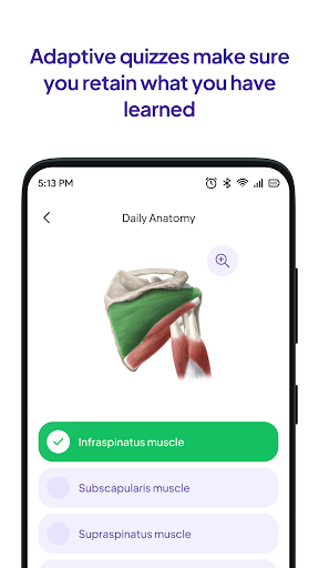 Daily Anatomy Flashcards PC