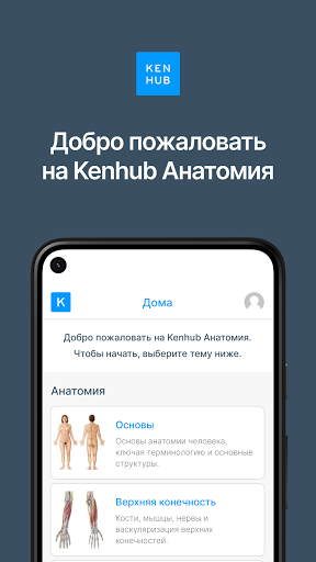 Kenhub Анатомия ?? ??