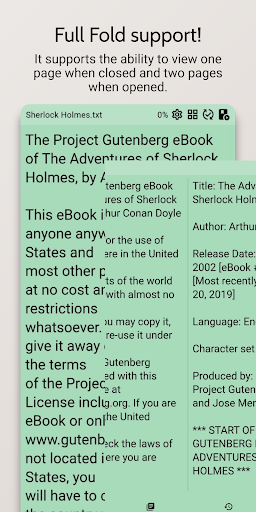 TTReader - Text Reader, OCR para PC