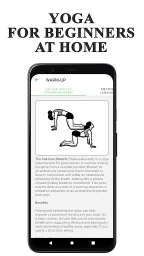 Yoga Poses For Beginners PC