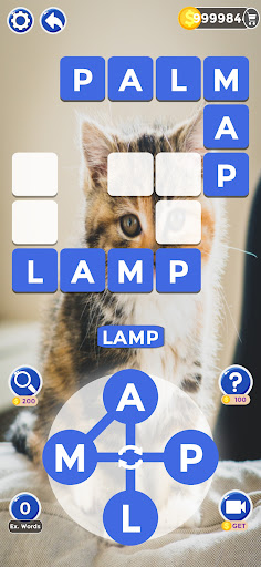 Cat Word - Word Search Game PC