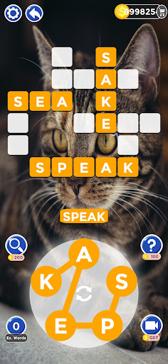 Cat Word - Word Search Game PC