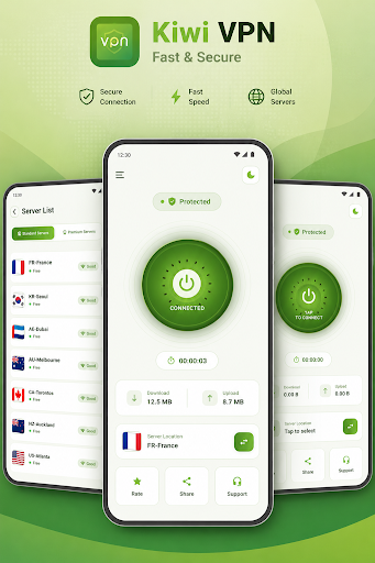 Kiwi VPN PC