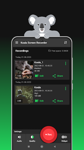 Screen Recorder Koala PC