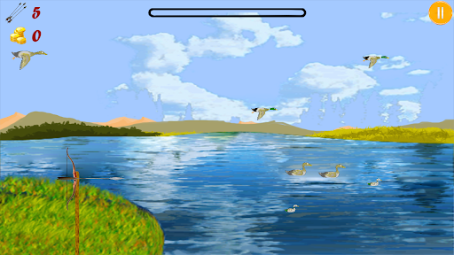 Archery bird hunter پی سی