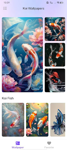 Koi Wallpapers پی سی