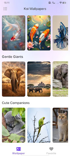 Koi Wallpapers پی سی