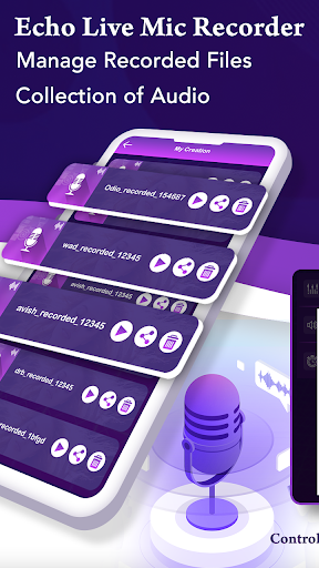 Echo-Live Mic Recorder پی سی