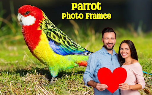 Parrot Photo Frames ПК