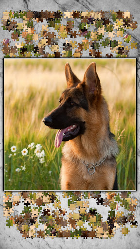 Jigsaw Puzzles Titan PC