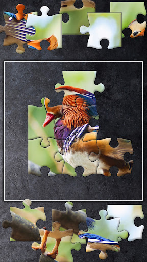 Jigsaw Puzzles Titan PC