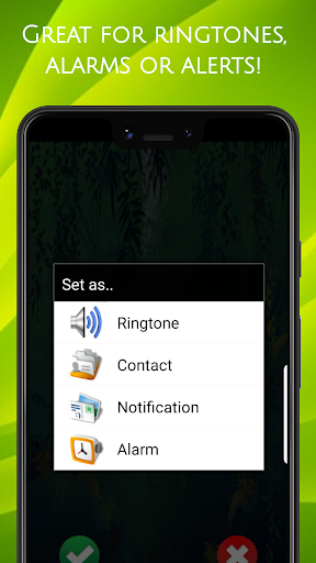 جانوروں کی اطلاعات پی سی