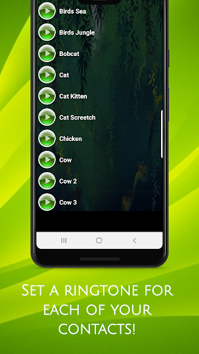 جانوروں کی اطلاعات پی سی