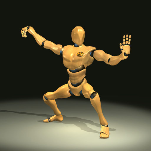Tai Chi Trainer PC