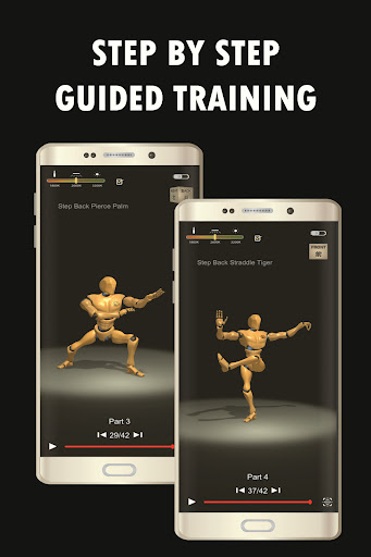 Tai Chi Trainer PC