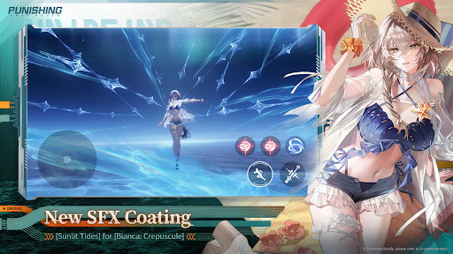 Punishing: Gray Raven