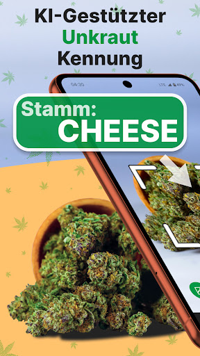 Kush Scan: thc weed identifier PC