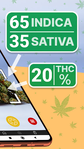 Kush Scan: thc weed identifier PC