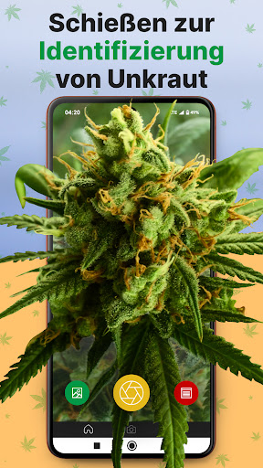 Kush Scan: thc weed identifier PC