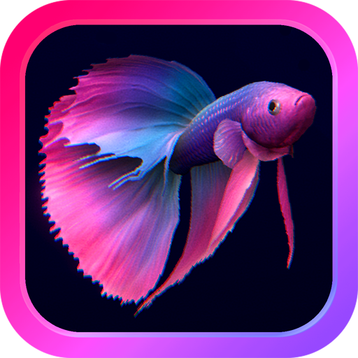 komputer Bettarium - Betta Fish Tank