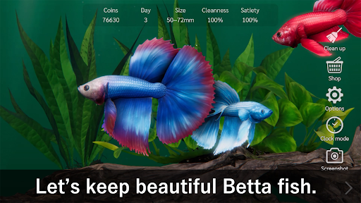 komputer Bettarium - Betta Fish Tank