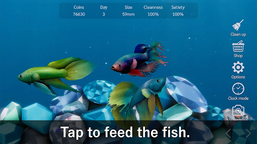 komputer Bettarium - Betta Fish Tank
