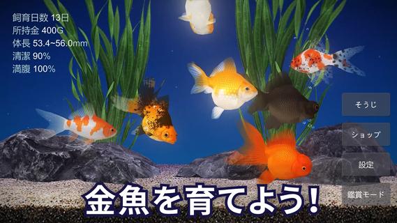 金魚育成アプリ・ポケット金魚